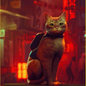 Stray
